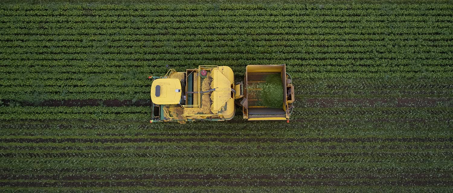 Tasmanian Farm Tractor View From The Top