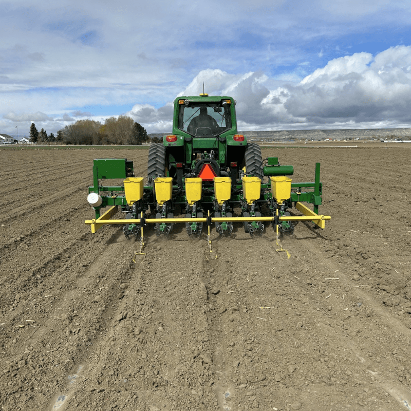 Planting and Emergence