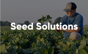 Learn about Seed Solutions