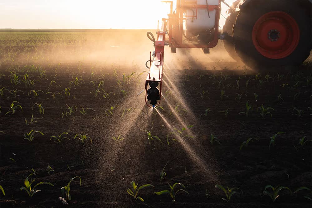 Tractor spraying pesticides on corn field with sprayer at spring