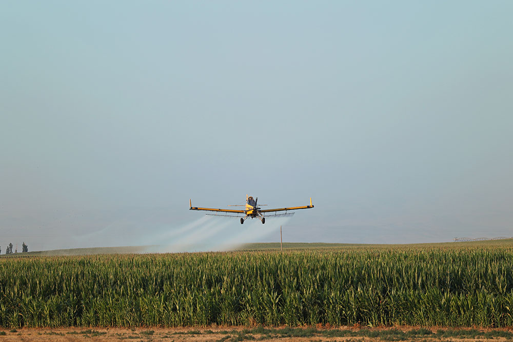 Aeroplane spraying pesticide over a field
