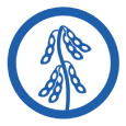 Innvictis Seed Solutions Soybeans