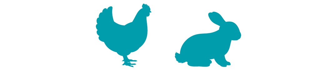 Chicken and Rabbit