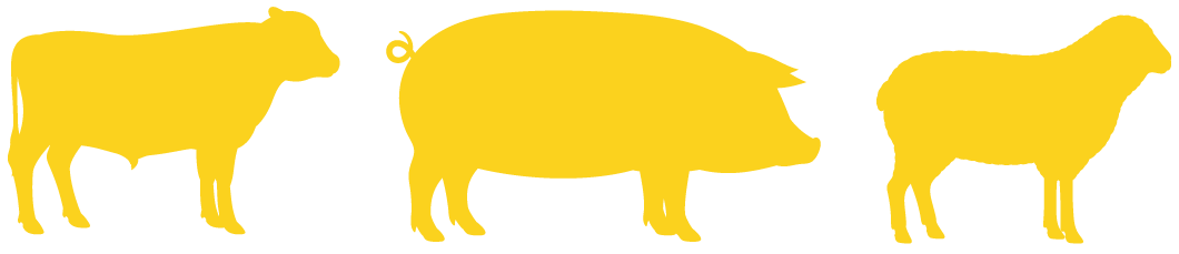 Cow, Pig and Sheep