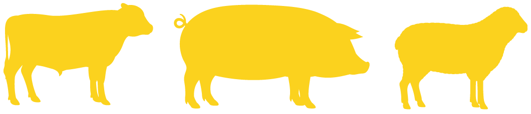 Cow, Pig and Sheep