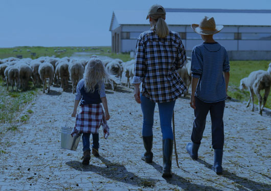 Mom walking with kids following sheep