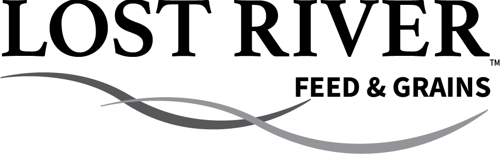 Lost River Logo