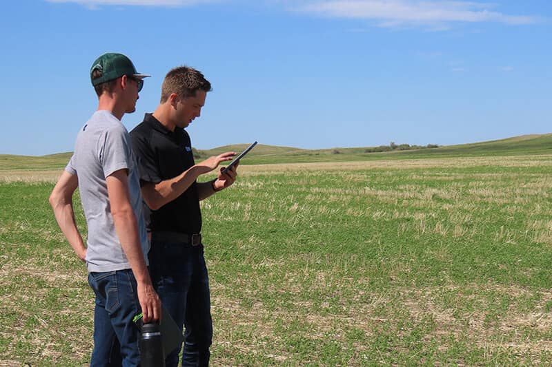 Two men standing in field looking at tablet