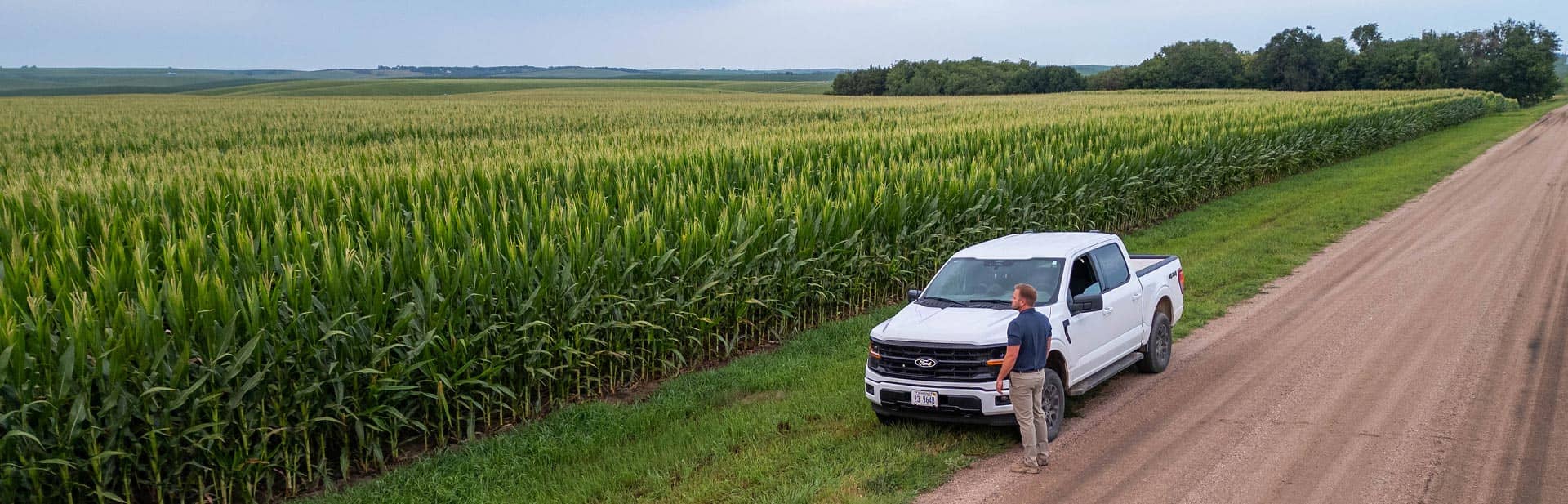 Man Standing On Side of Road Looking At Field