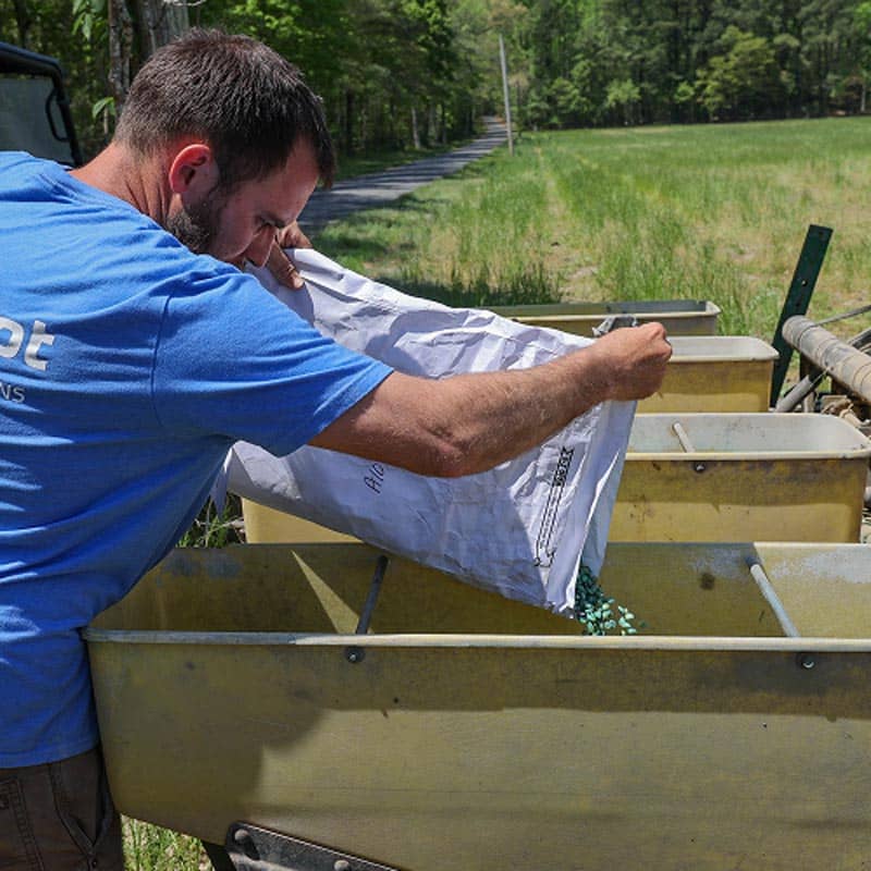 Man Pouring Seed