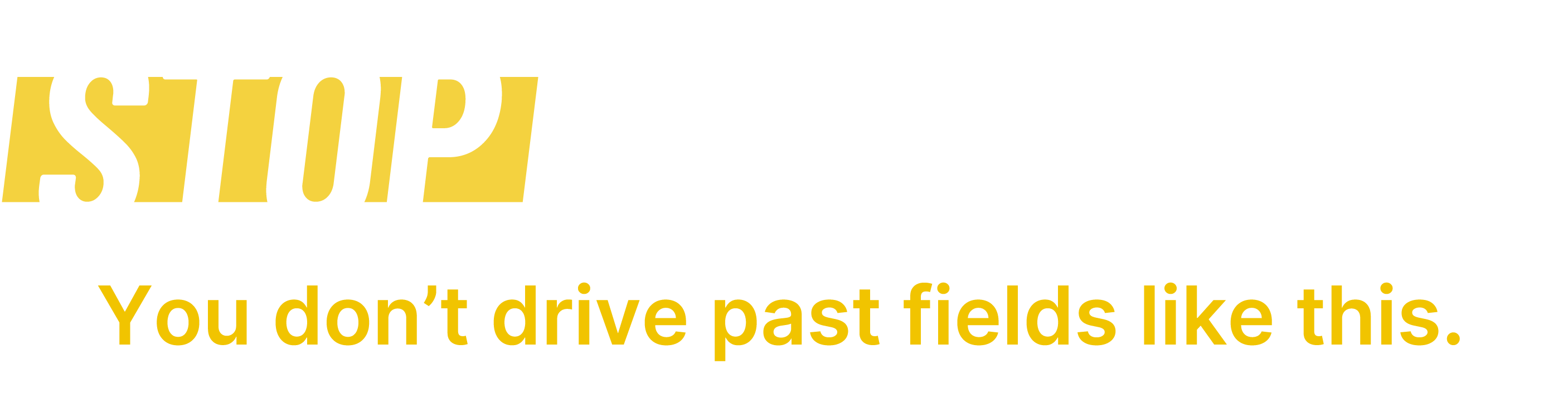 Stop The Truck - You don't drive past fields like this