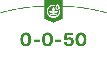 SGS_ProductCard_0-0-50-original SGS.com
