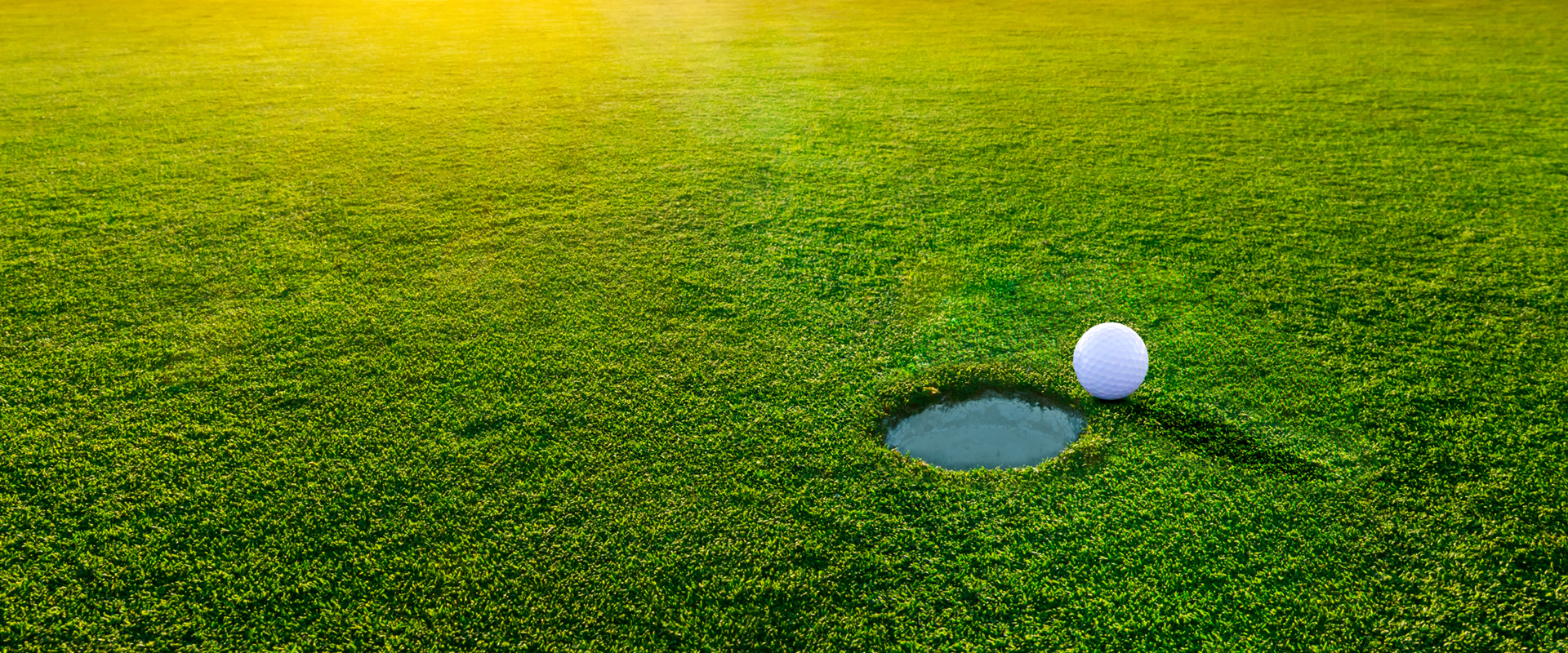 Golfball closeup on green