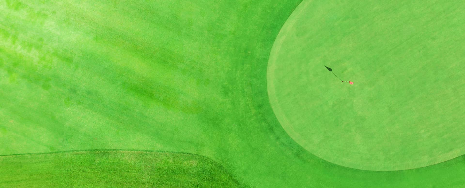 Turf aerial