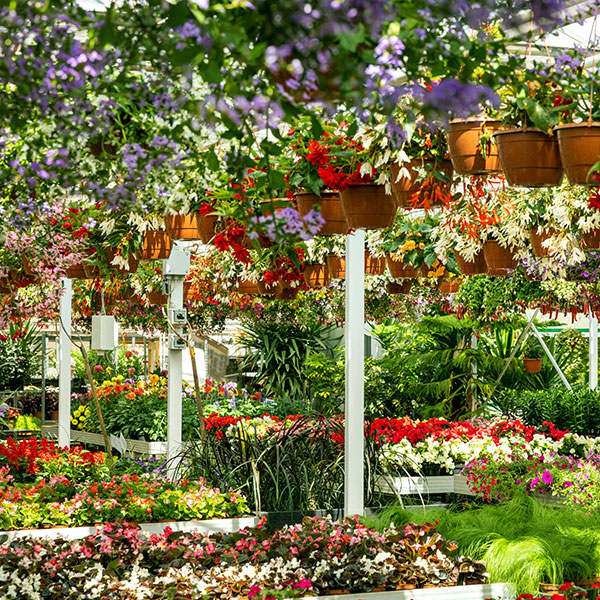 Nursery view