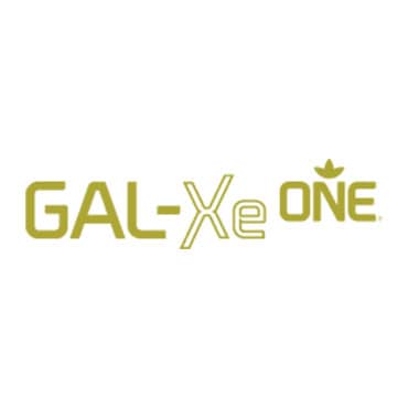GAL-XeONE Logo