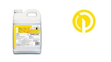 SP 4Way Featured News Card