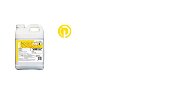 SP 4Way Featured News Card