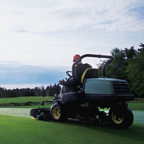 Man on Riding Lawnmower on Pristine Grass