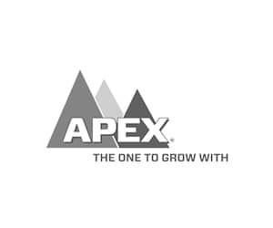 APEX logo