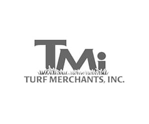 TMI logo