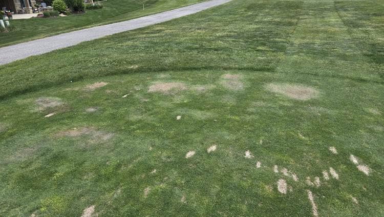 Localized dry spot