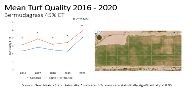 Mean Turf Quality Chart - Perennial Bermudagrass - 2016 - 2020