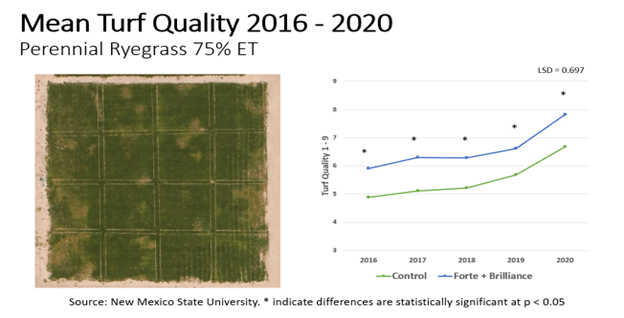 Mean Turf Quality Chart - Perennial Ryegrass - 2016 - 2020