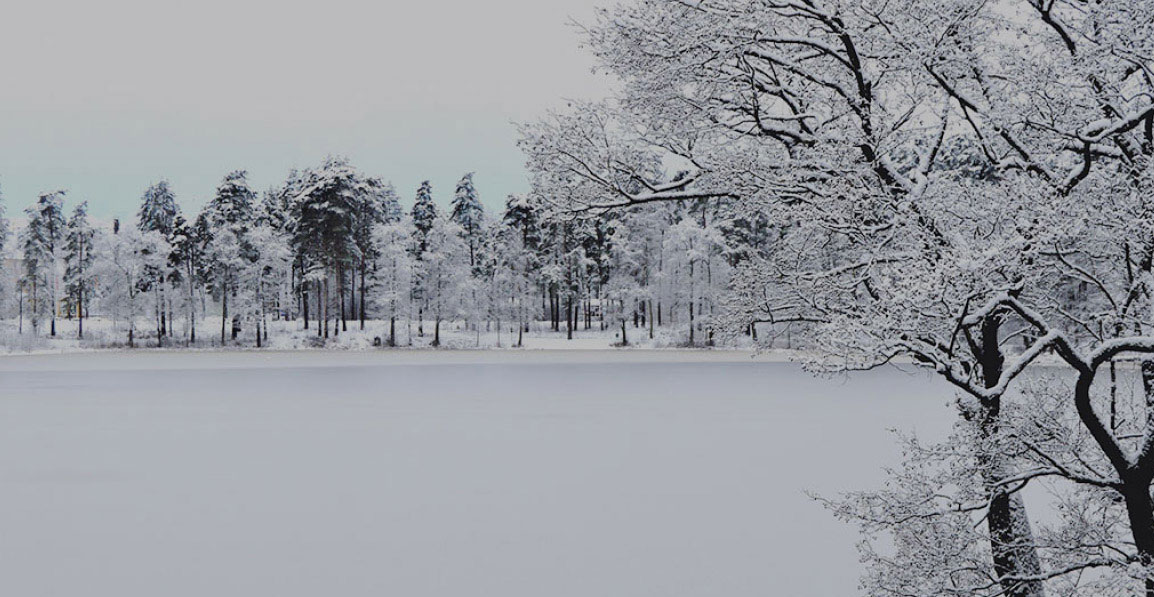 Snow-covered clearing