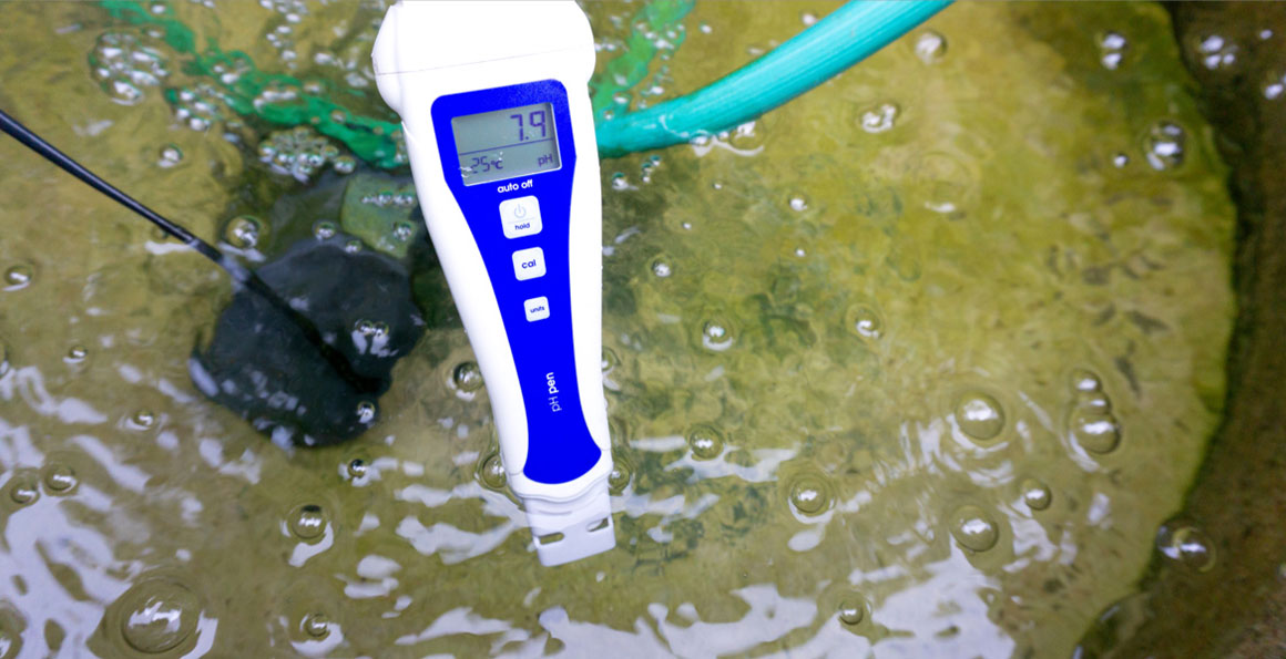 Water pH meter