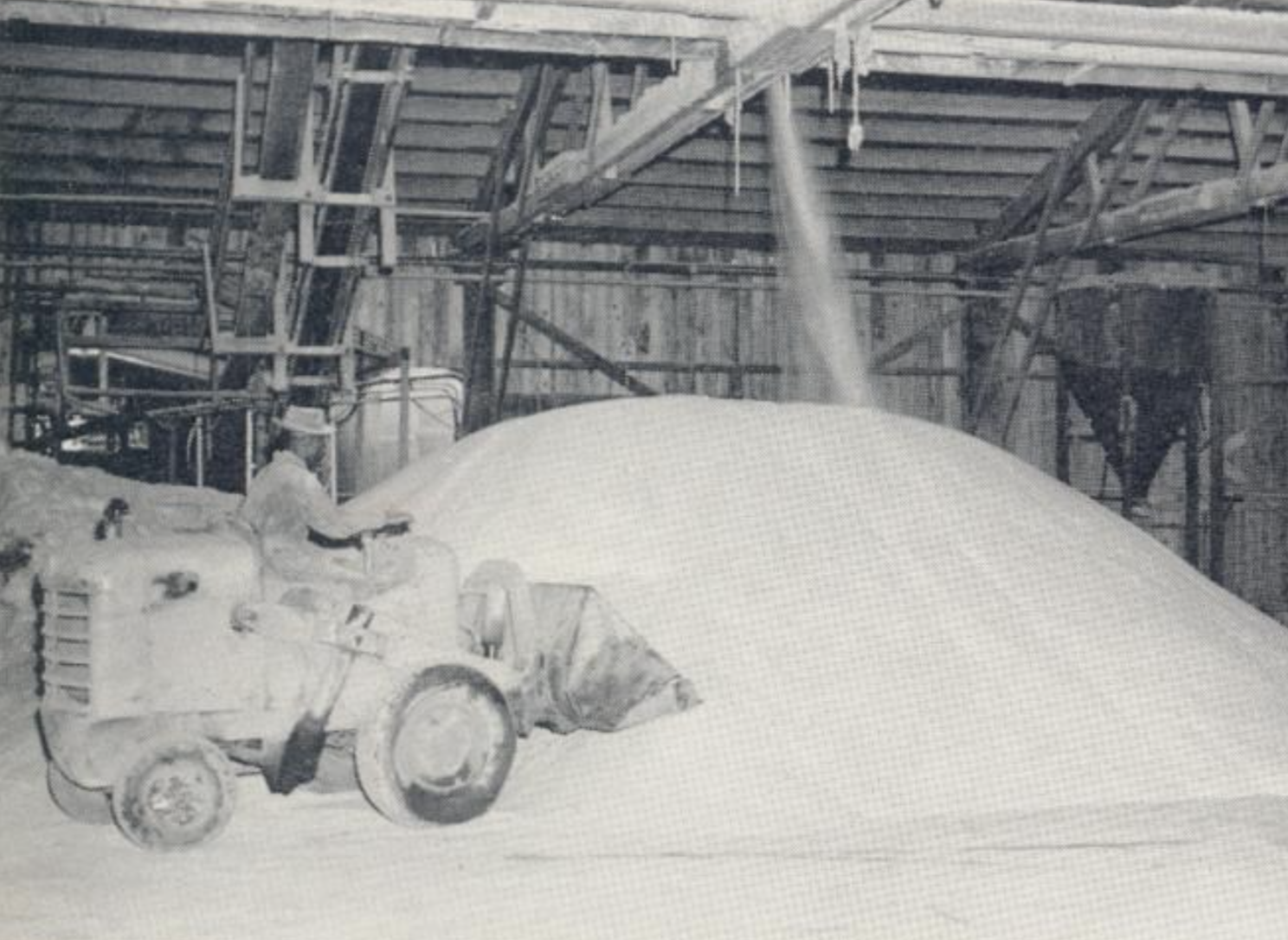 Ammonium Sulfate Production