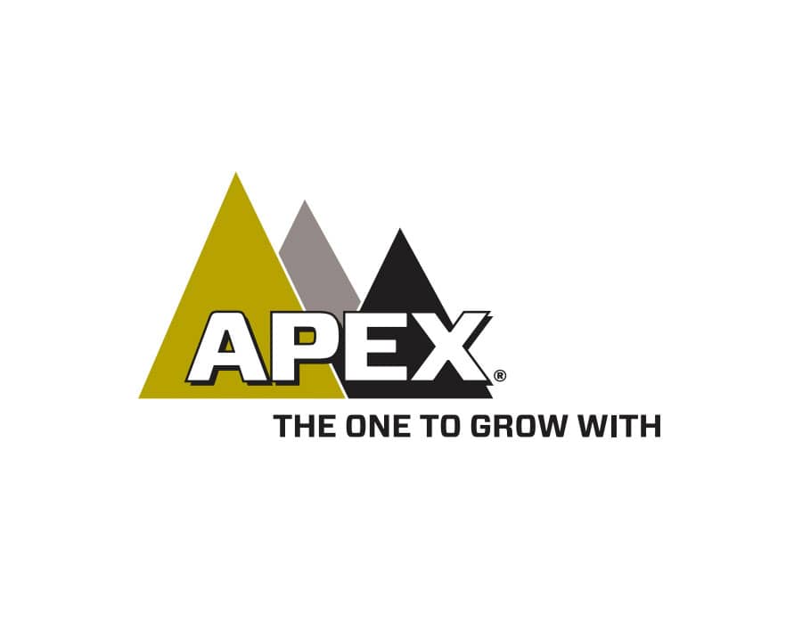 APEX logo