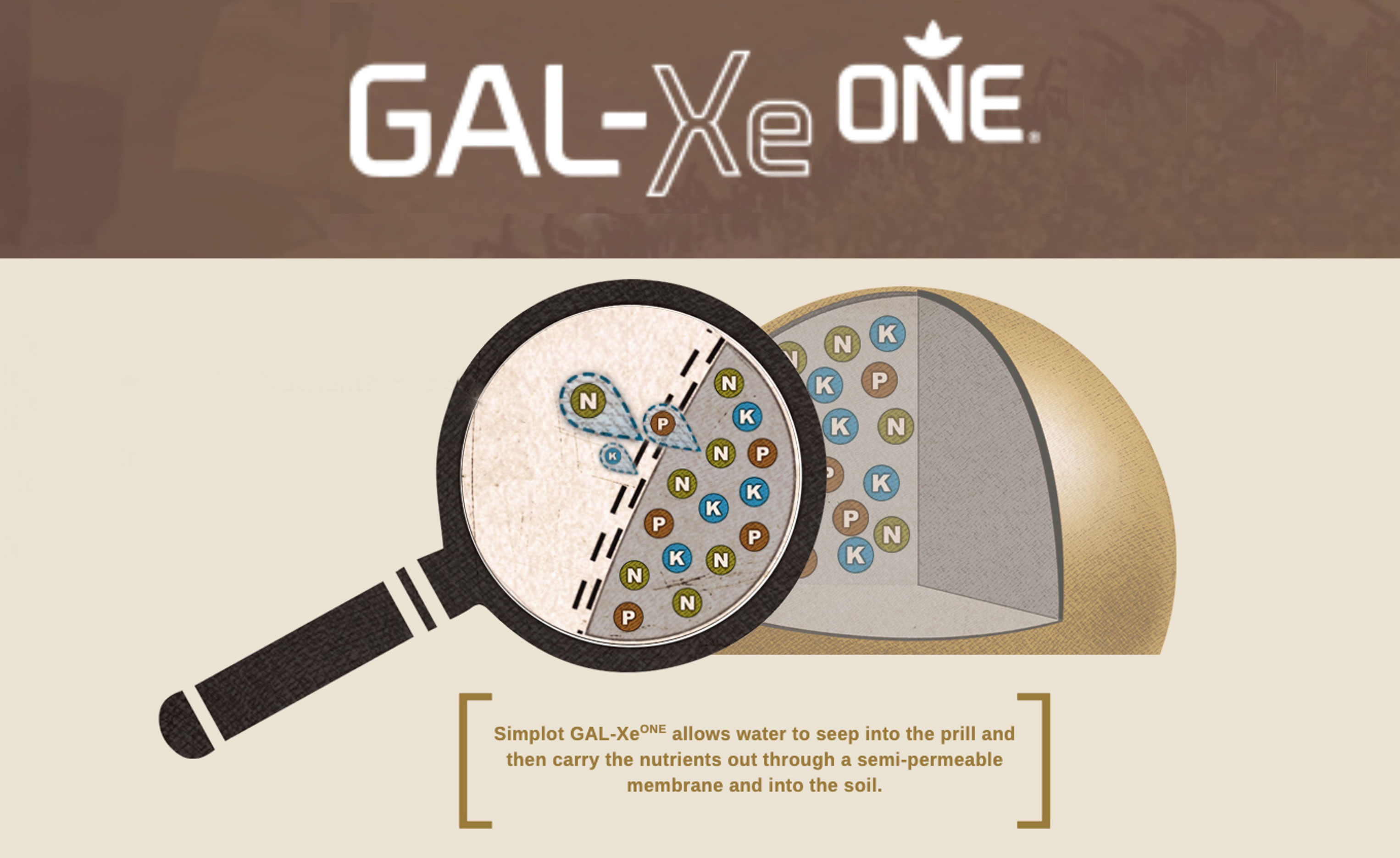 GAL-XeONE