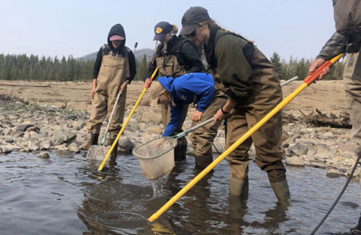 Assisting fish migration