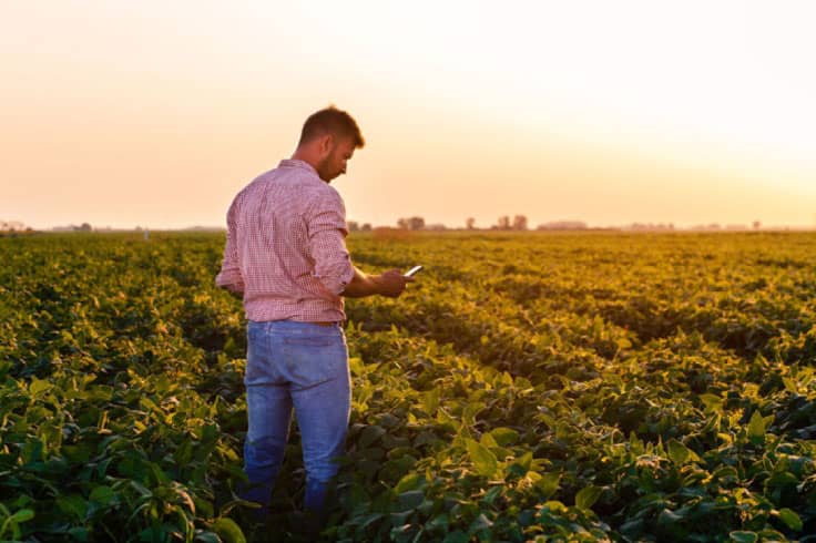 Farmer in field at sunset