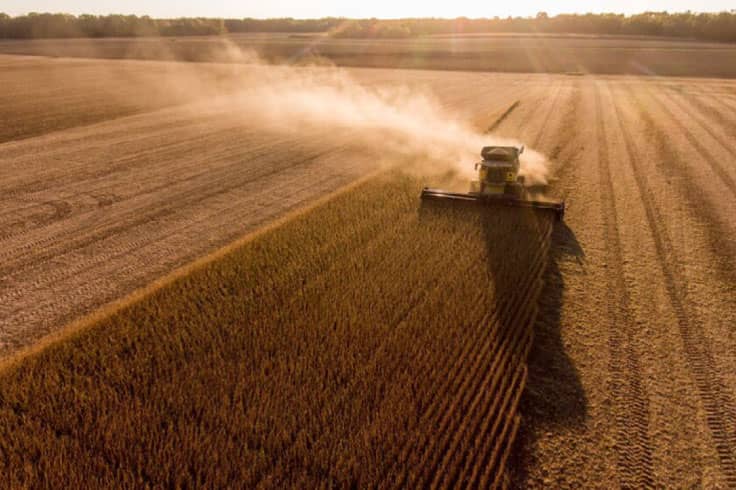 Harvester at work in a wheat field