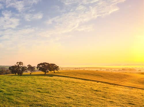 Timeline_1996 - Australia