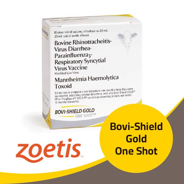 Bovi Shield Gold One Shot