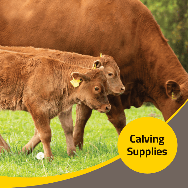Calving Supplies