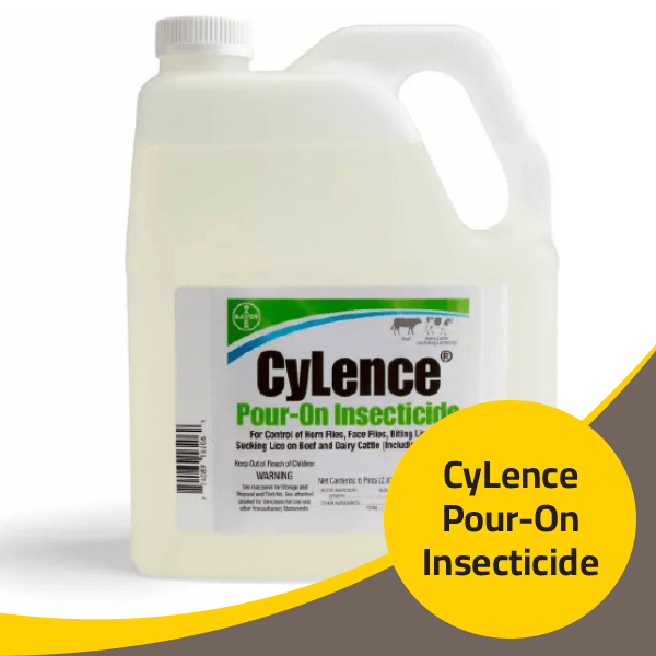 Cylence Pour On Insecticide