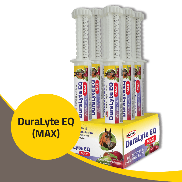DuraLyte EQ