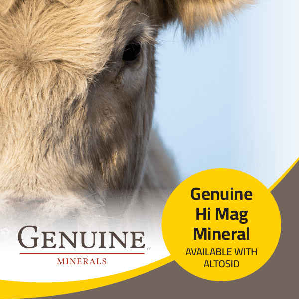Genuine Hi Mag Mineral