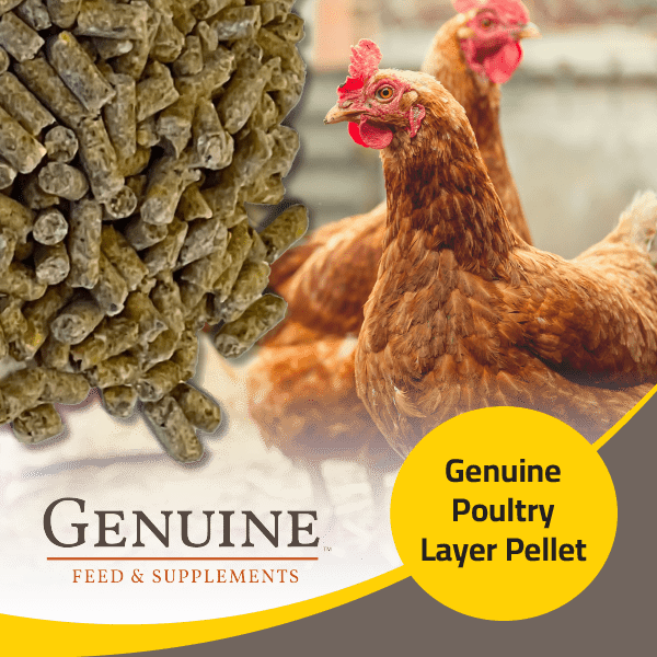 Genuine Poultry Layer Pellet