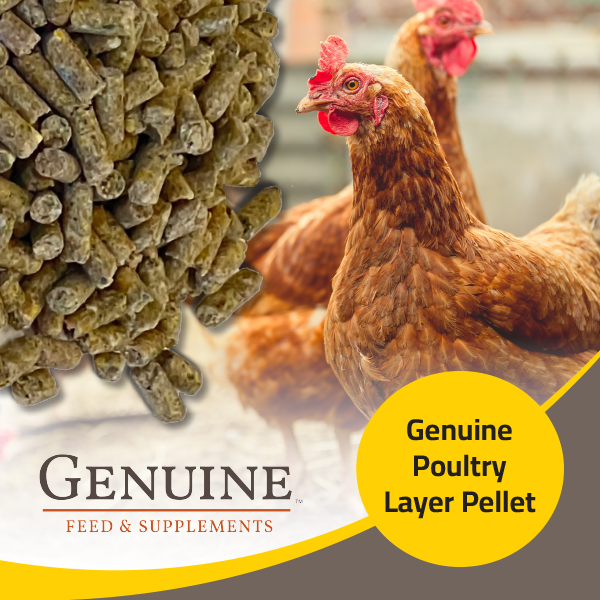 Genuine Poultry Layer Pellet