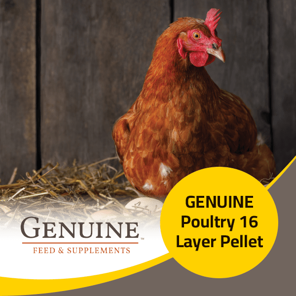 Genuine Poultry Layer Pellet