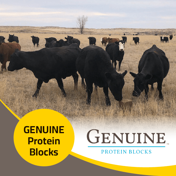 Genuine Protein Blocks