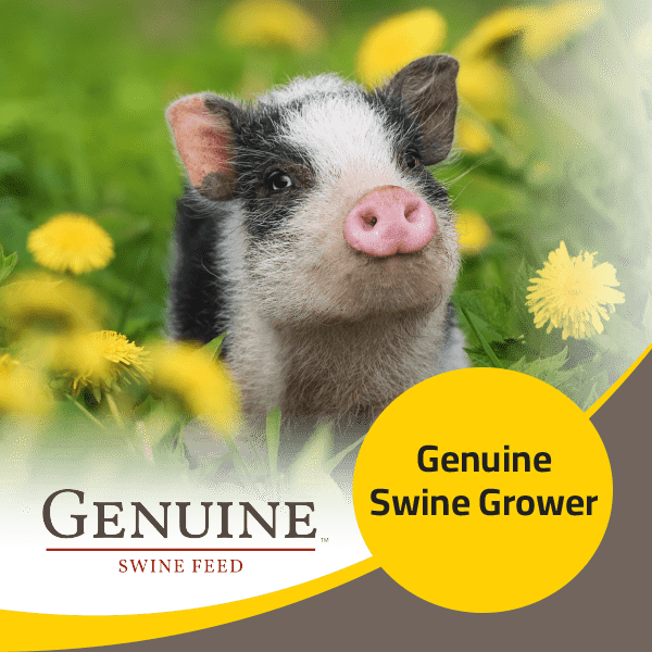 Genuine Swine Grower
