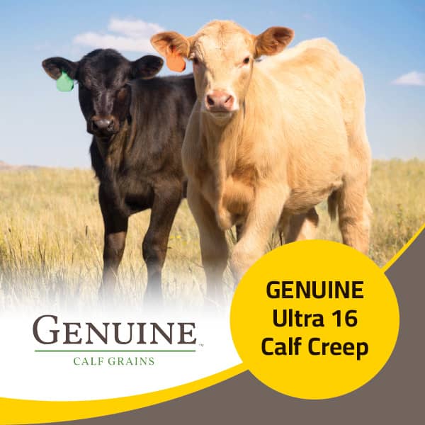 Genuine Ultra 16 Calf Creep