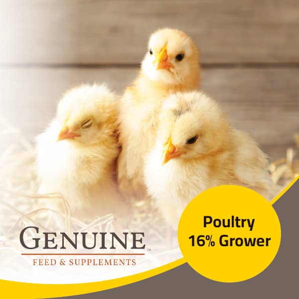 Genuine Poultry 16 Grower