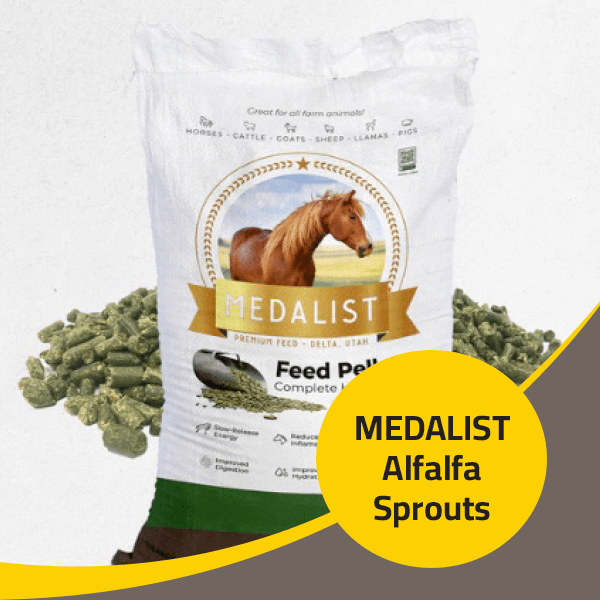 Medalist Alfalfa Sprouts